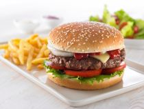 (1003)HAMBURGER avec sésame 4,5 x30pcs PB 
